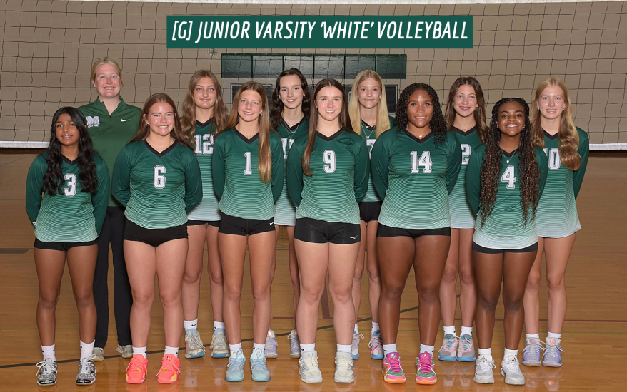 Girls JV White Volleyball Team